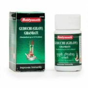 buy Baidyanath Guduchi (Giloy) Ghanbati Tablets in UK & USA