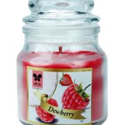 buy Iris Dewberry Aroma Short Glass Jar Candle in UK & USA
