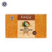 buy Arya Vaidya Sala Kottakkal Skin Protection Soap in UK & USA